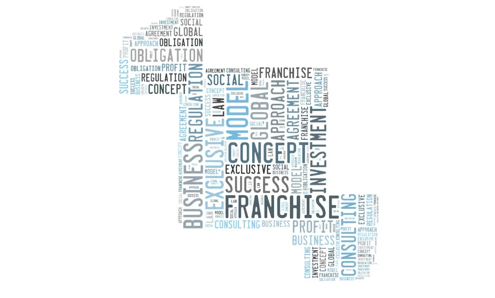 What Is a Franchise Disclosure Document? Definition and Meaning