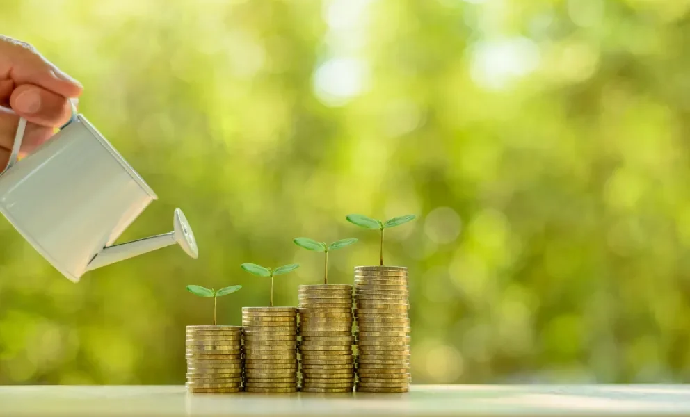 Why Franchises Are a Great Long-Term Investment Strategy